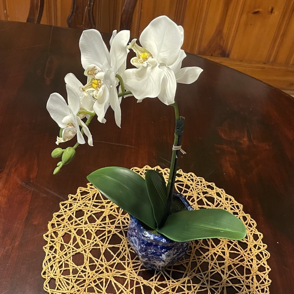 Faux White‎ Phalaenopsis Orchid Silk Plant Blue ,Real Touch